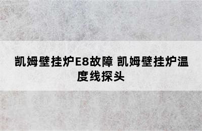 凯姆壁挂炉E8故障 凯姆壁挂炉温度线探头